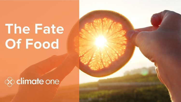 Radio Fate of Food