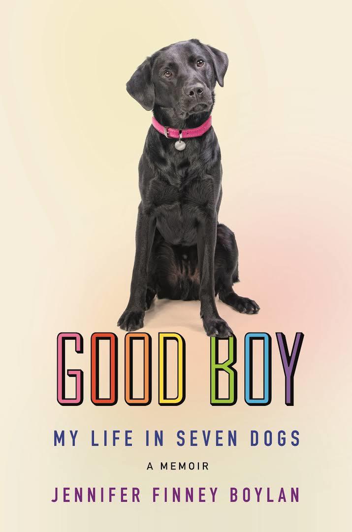 good boy jfb