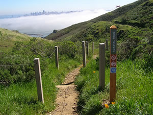 trail pic