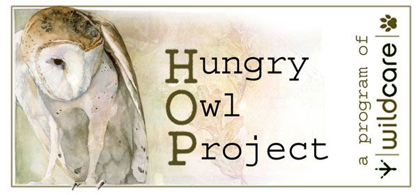 HOP logo