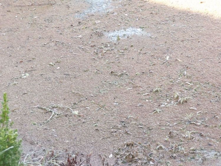 lake surface