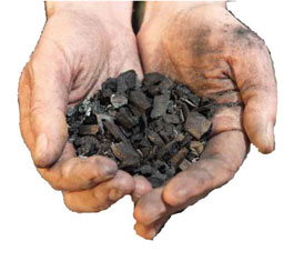 Biochar