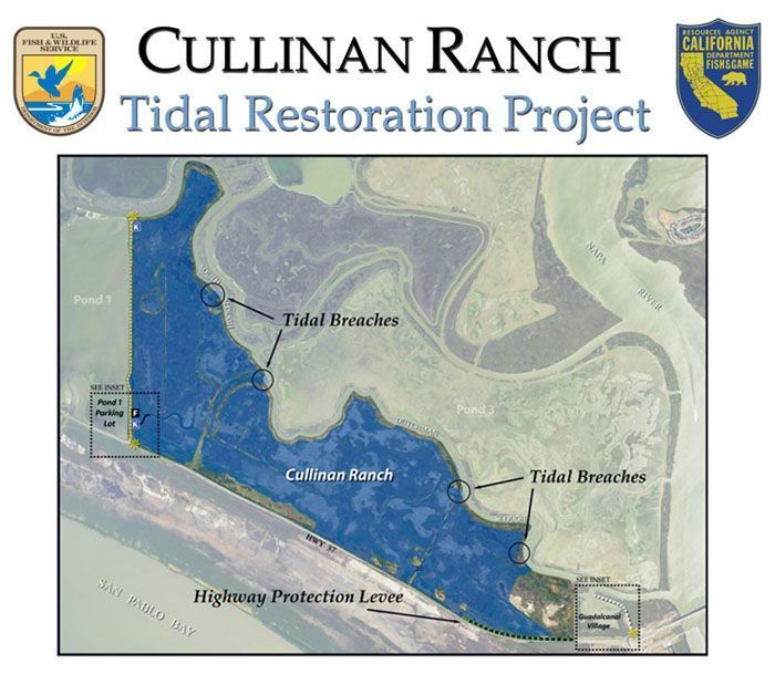 Cullinan map