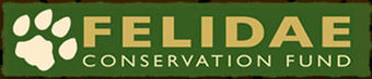 felidae_logo