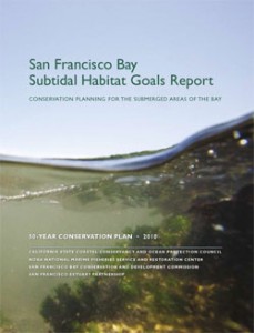 SubtidalGoals_Cover-229x300