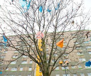 plastic_bags_in_tree