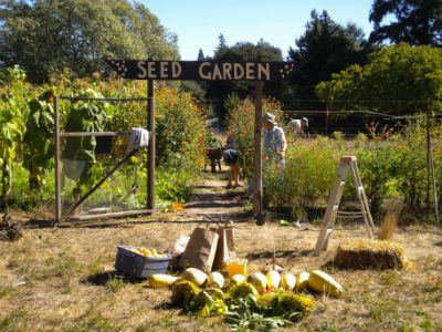 seed_garden21010sm