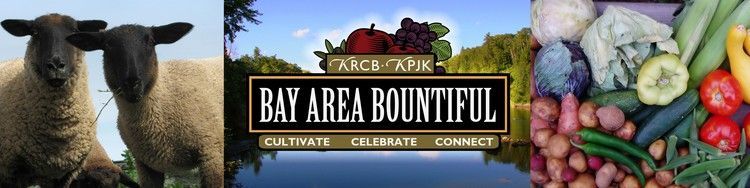 ArticleBanner