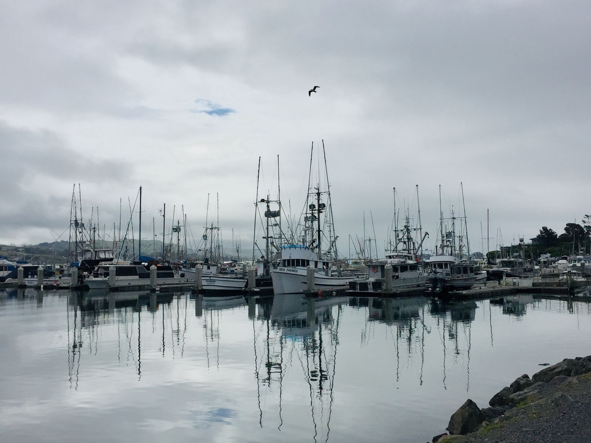 Fishing boats