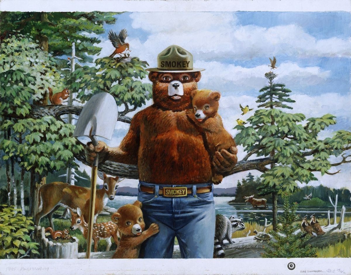 Prevent Wildfires