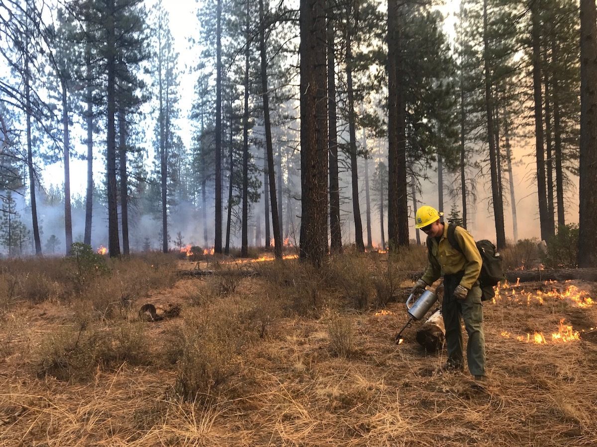 Perscribed Burn USDA