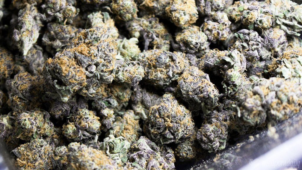 cannabis nugs weedporndaily