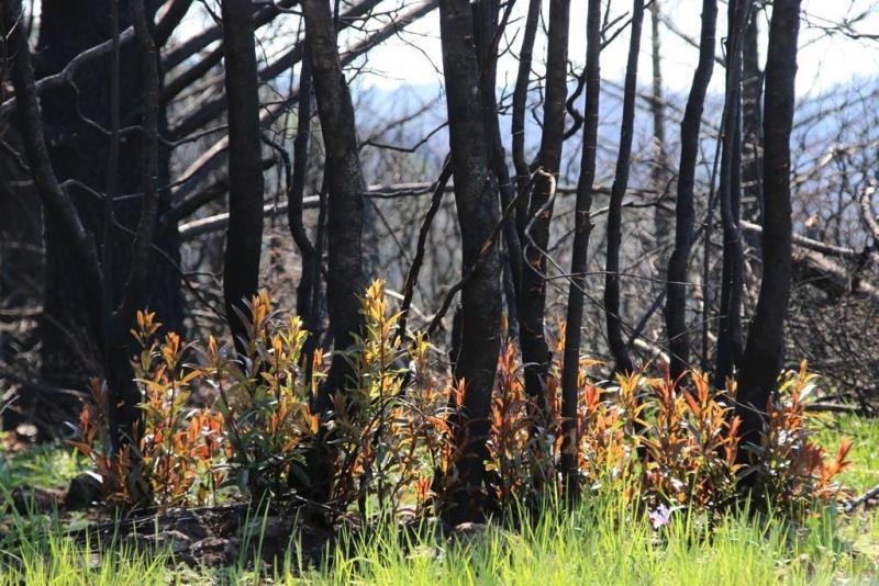 Pepperwood preserve