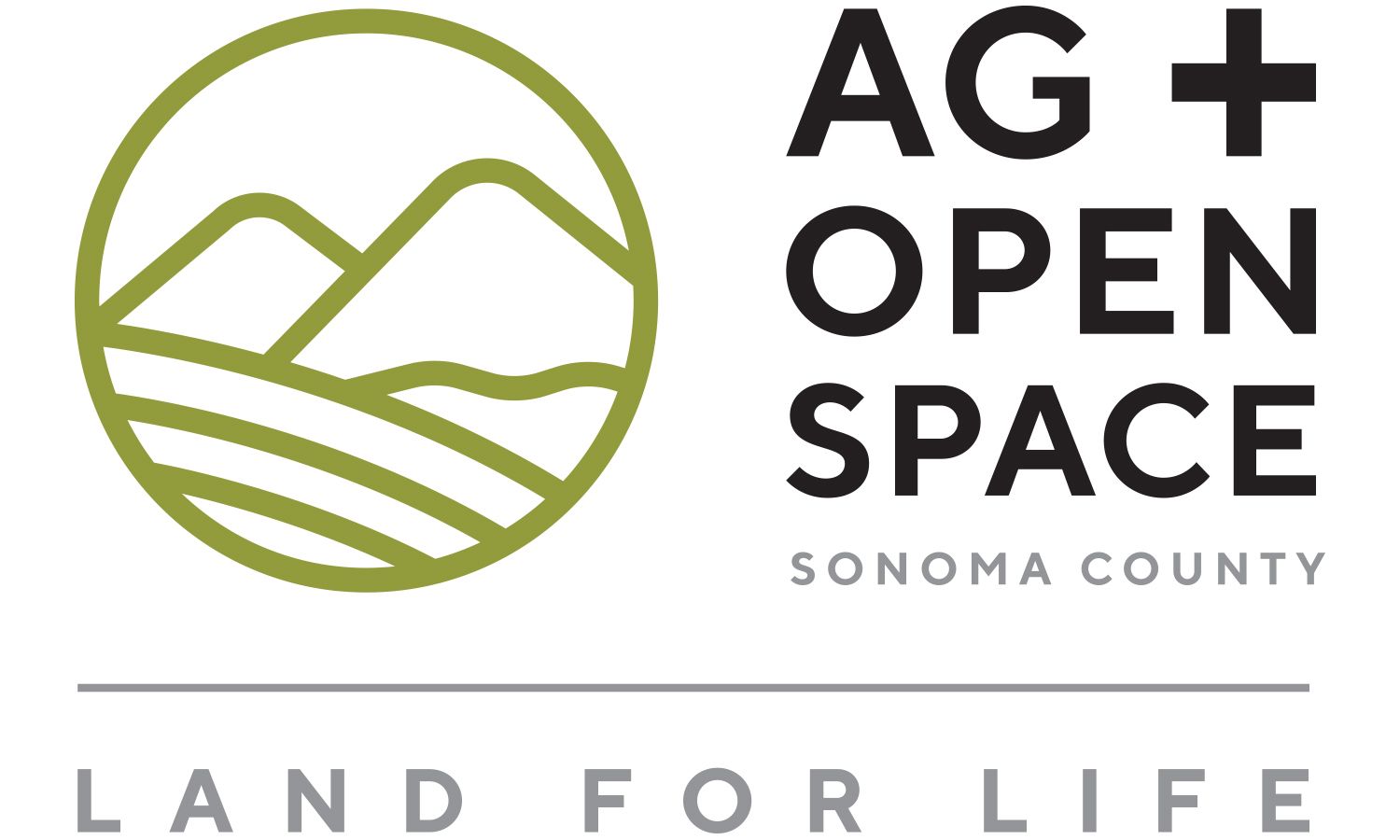 BABOpenSpace2019