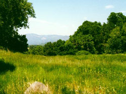 Jack London Park