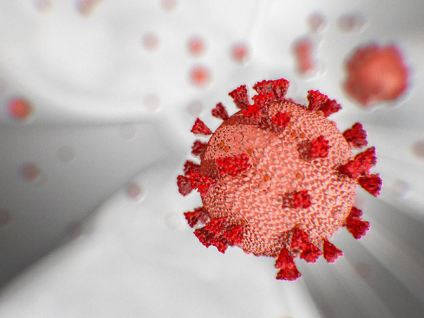 frontline coronavirus 603x452