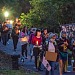 defund bridge 19