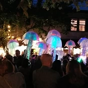 Jellyfish at WinterBlast