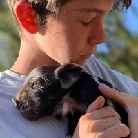 BROKEN THEATRE on the Farm GAVIN Piglet