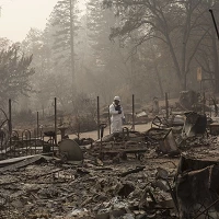 44162019920 7fe79b631d c