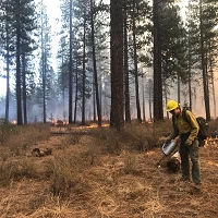 Perscribed Burn USDA