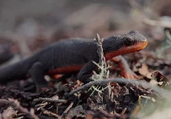 Redwood Empire Food Bank