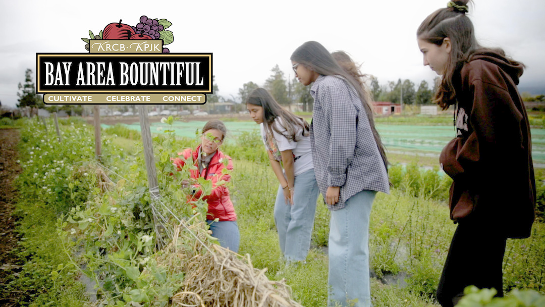 Bay Area Bountiful: The Center for Ecoliteracy